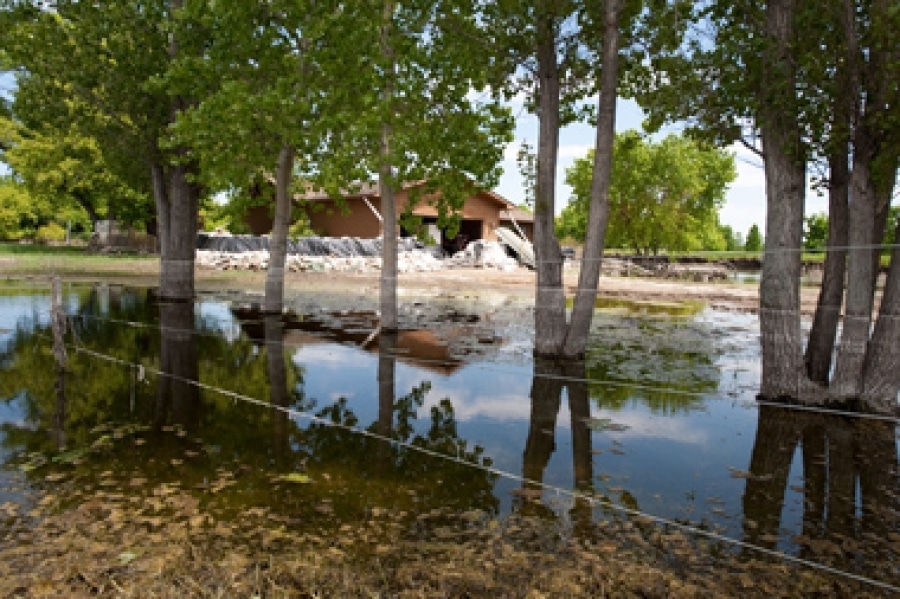 How to Prepare Your Home for Heavy Rain