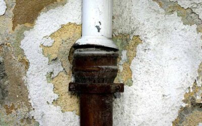 Why Call in Professionals for Water Damage Repairs