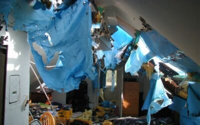 Small Business Fire Damage Recovery