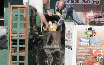 Document Recovery After a Flood