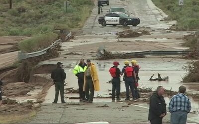 Business Disaster Preparedness