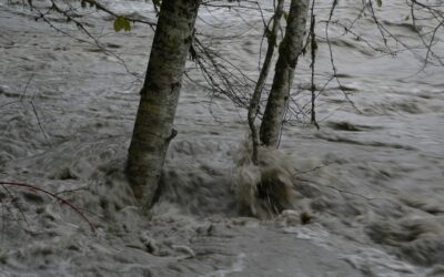 Don’t Get Caught in a Flood, Southeastern New Mexico!