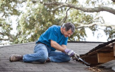 Spring Roof Maintenance