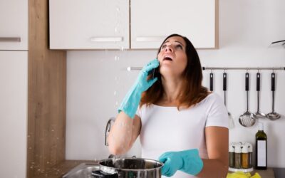 3 Reasons to Call a Professional for Water Damage