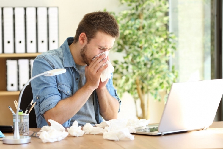 The Link Between Mold and Seasonal Allergies