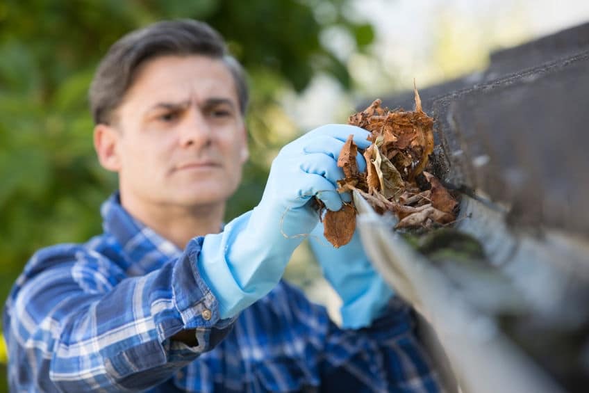 Is Your Home Exterior Protected from Water Damage?