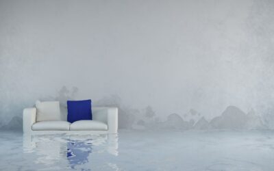 Water Damage Restoration: The Basics