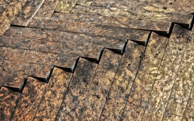 What Happens If You Don’t Clean Water Damage Right Away?