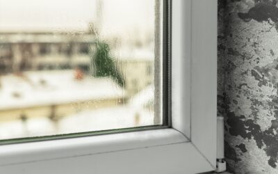 Mold and Mildew Thrive in Winter