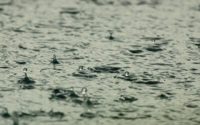Monsoon Season: How to Protect Your Home