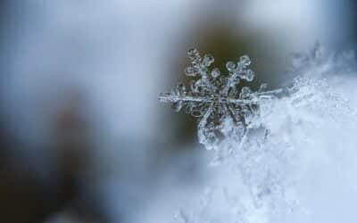 Protect Your Home from the First Freeze