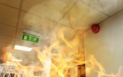 Steps to Fireproof Your Business