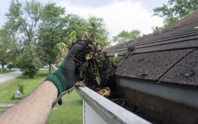 Spring Roof Maintenance Tips