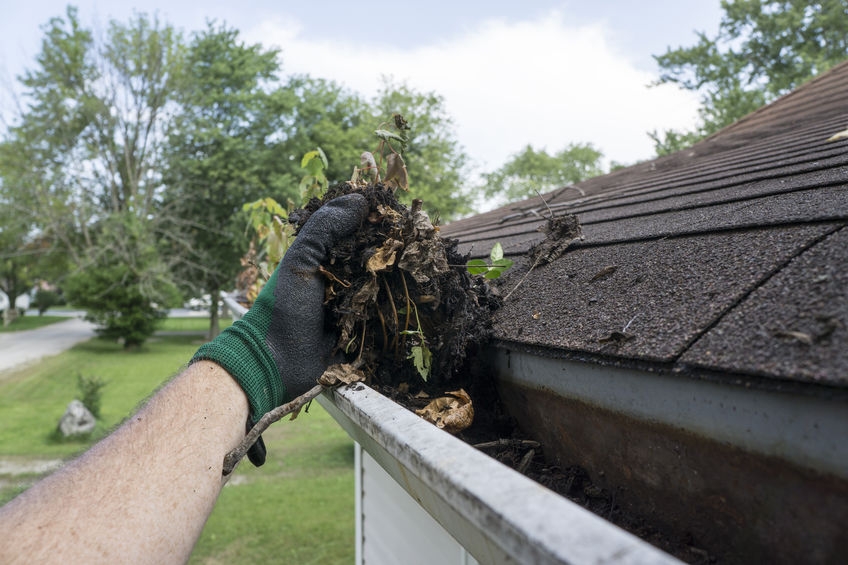Spring Roof Maintenance Tips