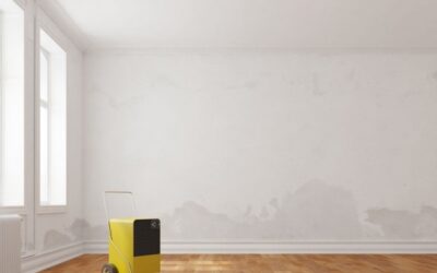 How To Know When You Should Call A Professional For Water Damage