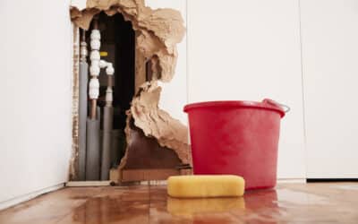 Different Types of Water Contamination After a Flood