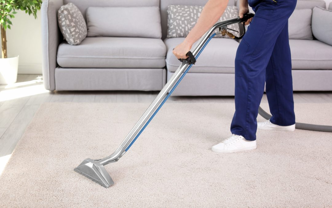 How To Remove Mold From Carpet