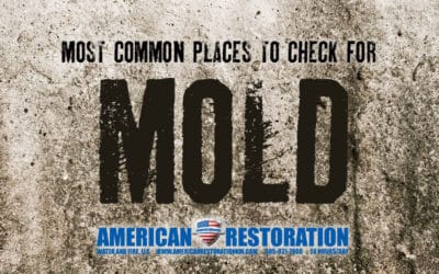 Most Common Places to Check for Mold in a Home