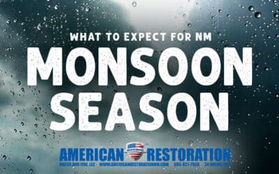 What to Expect for NM Monsoon Season