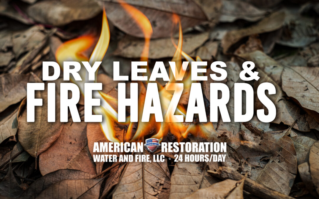Dry Leaves & Fire Hazards