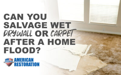 Can You Salvage Wet Drywall?