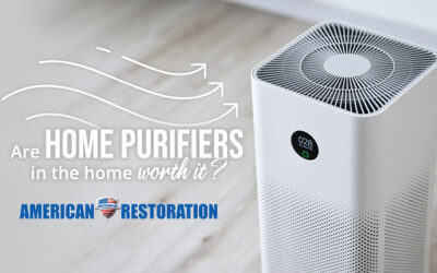 Air Purifiers in Home: Are They Worth It?