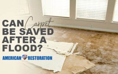 Is Carpet Salvageable After a Home Flood?