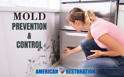 Mold Prevention & Control