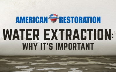 Water Extraction: Why it is Important After a Home Flood