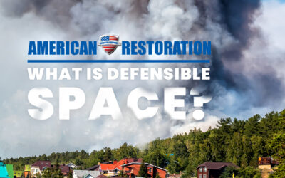 Defensible Space: How to Protect Your Home