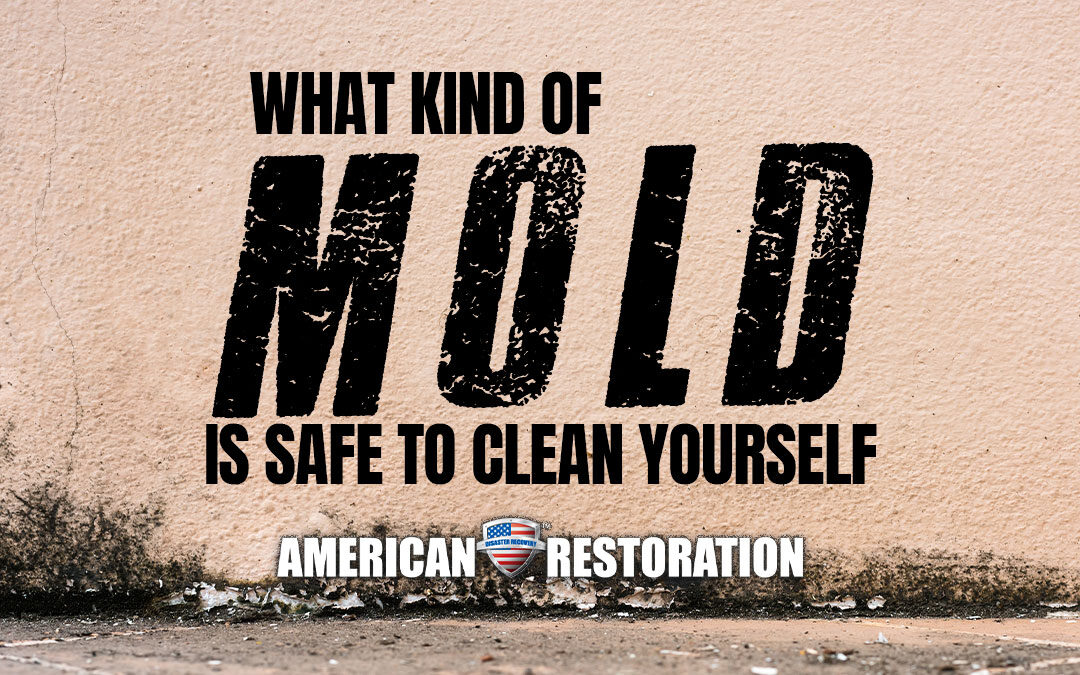 What Kind of Mold is Safe to Clean Yourself