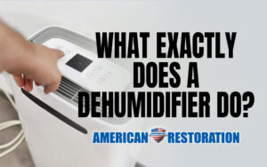 What a dehumidifierr does