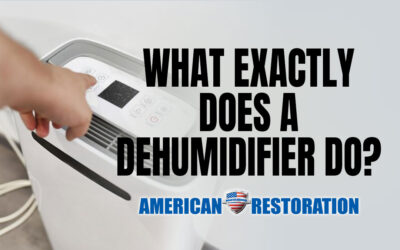 What Exactly Does a Dehumidifier Do?