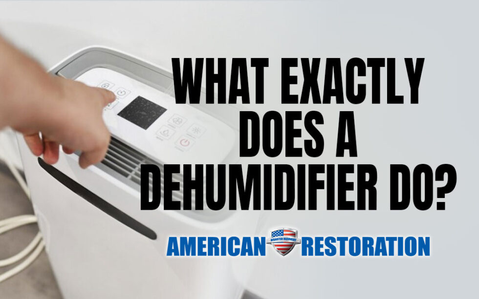 What Exactly Does a Dehumidifier Do? American Restoration