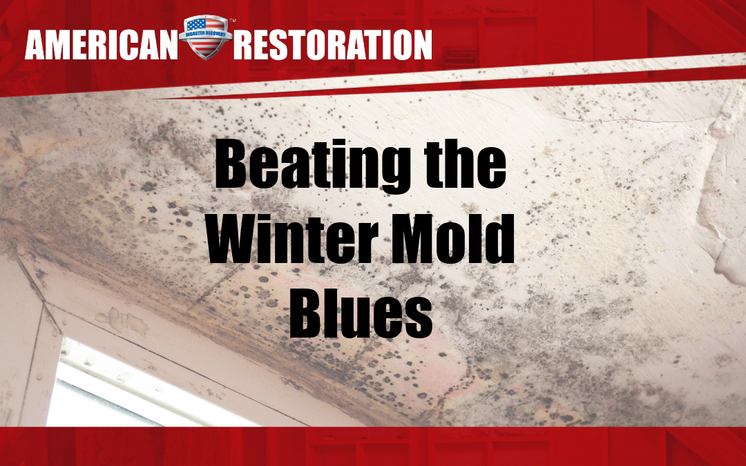 Blog graphic for a blog on mold.