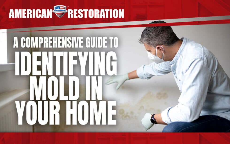 A Comprehensive Guide to Identifying Mold in Your Home | American ...