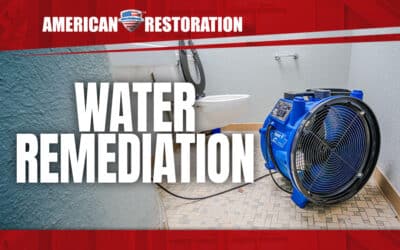 How Does the Water Remediation Process Work?