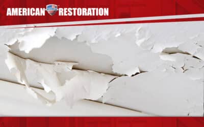 Spring Roof Maintenance: Tips for a Safer Roof