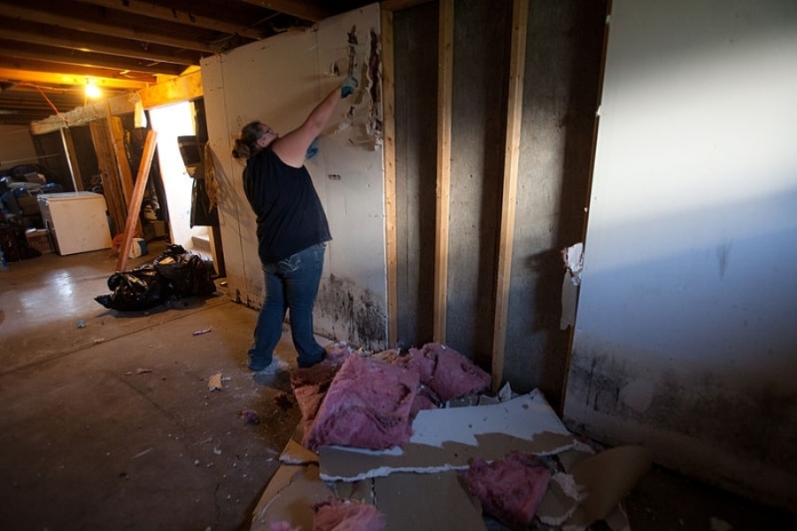 Disaster Restoration and Casualty Insurance