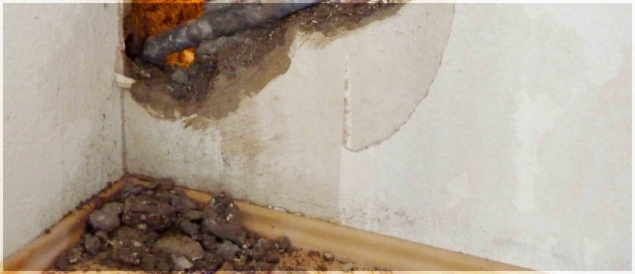 React Quickly to Water Damage