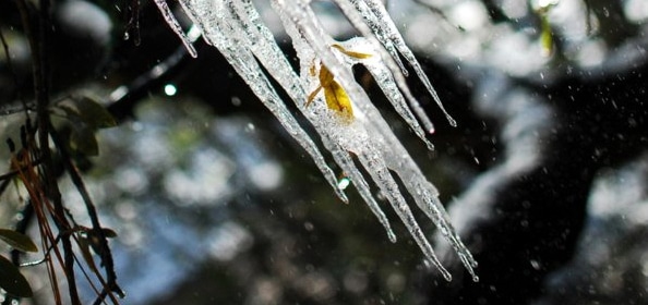 Ice Dams on Your Home Can Cause Water Damage