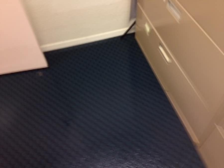 How to Protect Your Home From Flooding