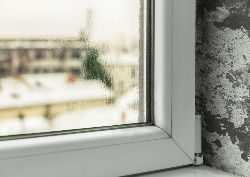 Mold and Mildew Thrive in Winter