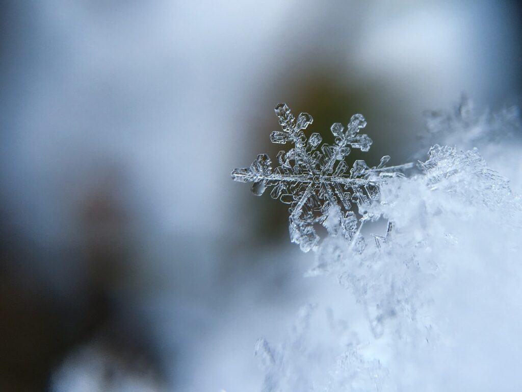 Protect Your Home from the First Freeze