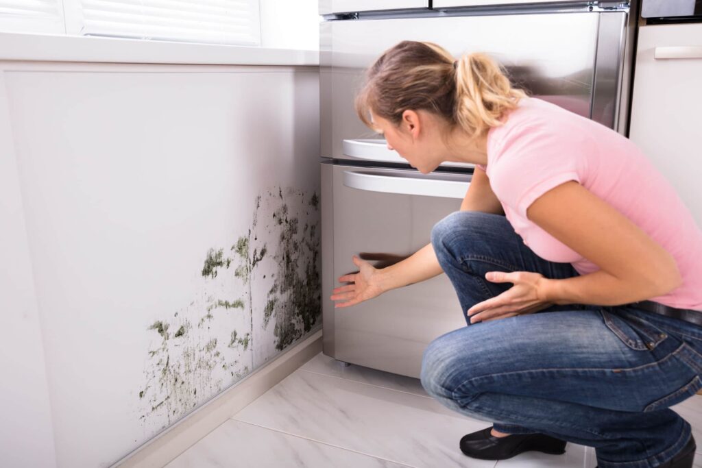 Is My Home at Risk for Mold?