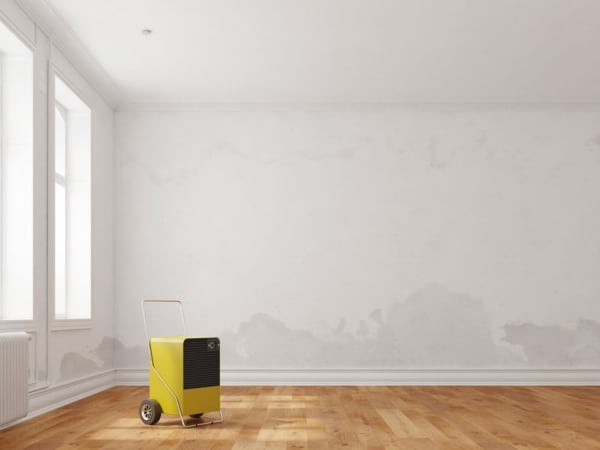How To Know When You Should Call A Professional For Water Damage