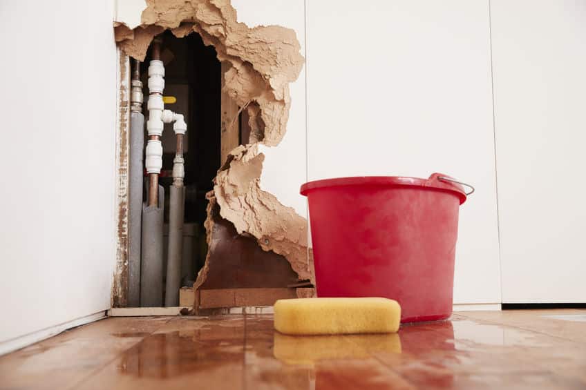 Different Types of Water Contamination After a Flood