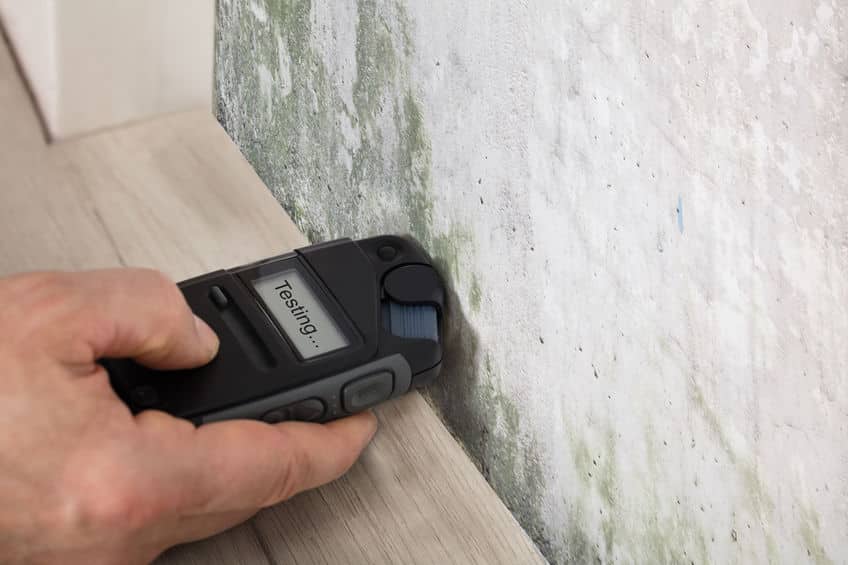 Health Risks When Mold Is In Your Home