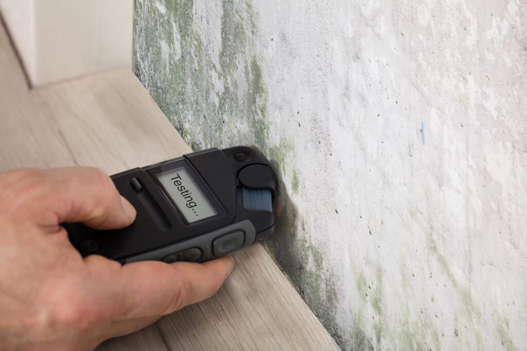The Difference Between Mold and Mildew