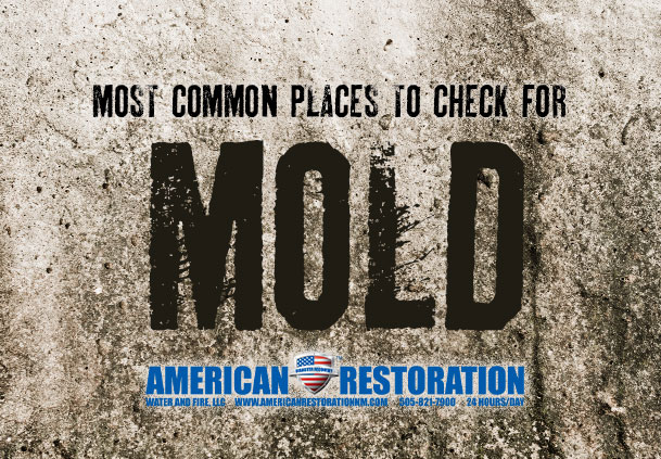 Most Common Places to Check for Mold in a Home